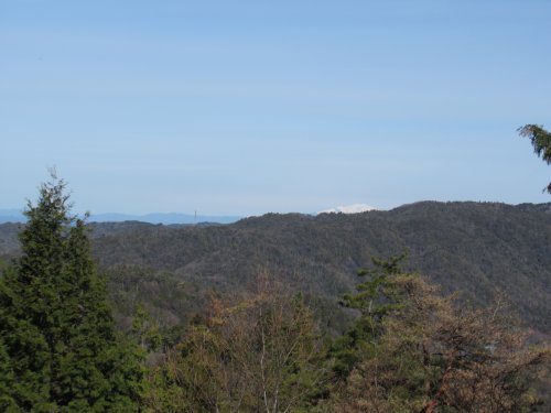 登山道